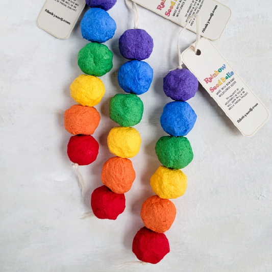 Rainbow Seed Balls