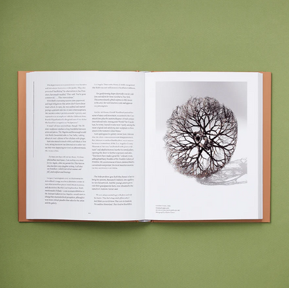 Everything She Touched: The Life of Ruth Asawa by Marilyn Chase