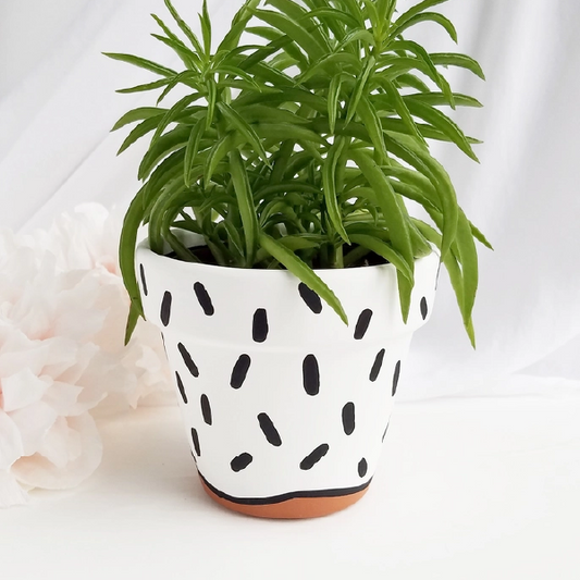 Planter - Sprinkles Pattern