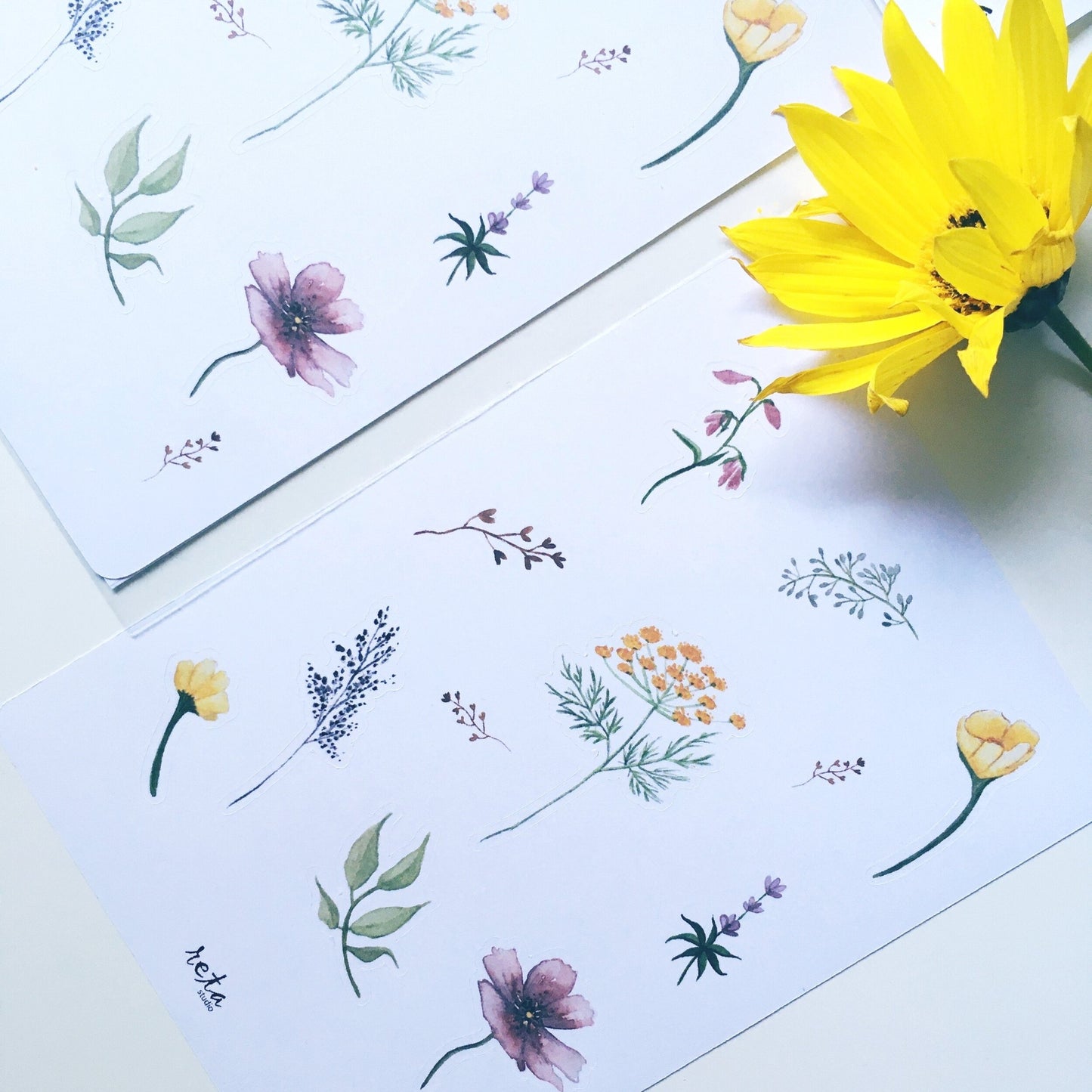 Sticker Sheet - Wildflowers