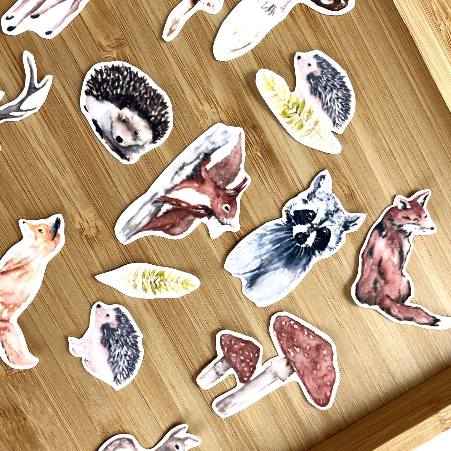 Sticker Pack - Woodland Creatures